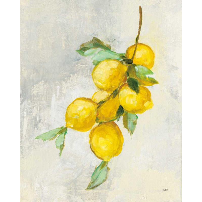 Art sur toile tendue par Red Barrel Studio® Purinton, Julia, titré: Zest II, H 34 po x l 28 po