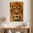 Brampt Lion Gaze-108246991
