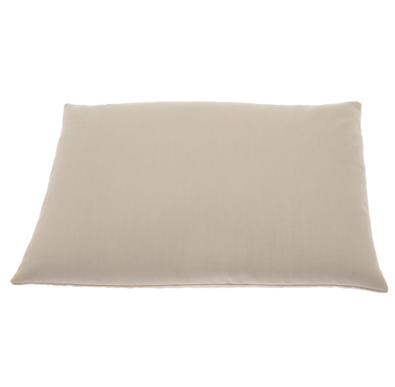 Plush Pillow