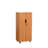 Saravia 21.65" Wide Storage Cabinet 2 - Shelf Locking Cupboard 2 Door Storage Pantry Utility Cabinet-1987875988