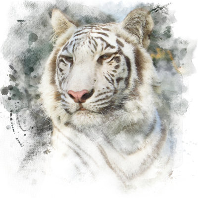 Tigre de Letesha par Nk08Gerd