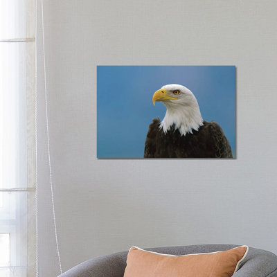 Bald Eagle Profile, North America by Konrad Wothe - Wrapped Canvas Print