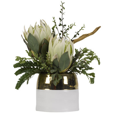 Protea Arrangement in Planter