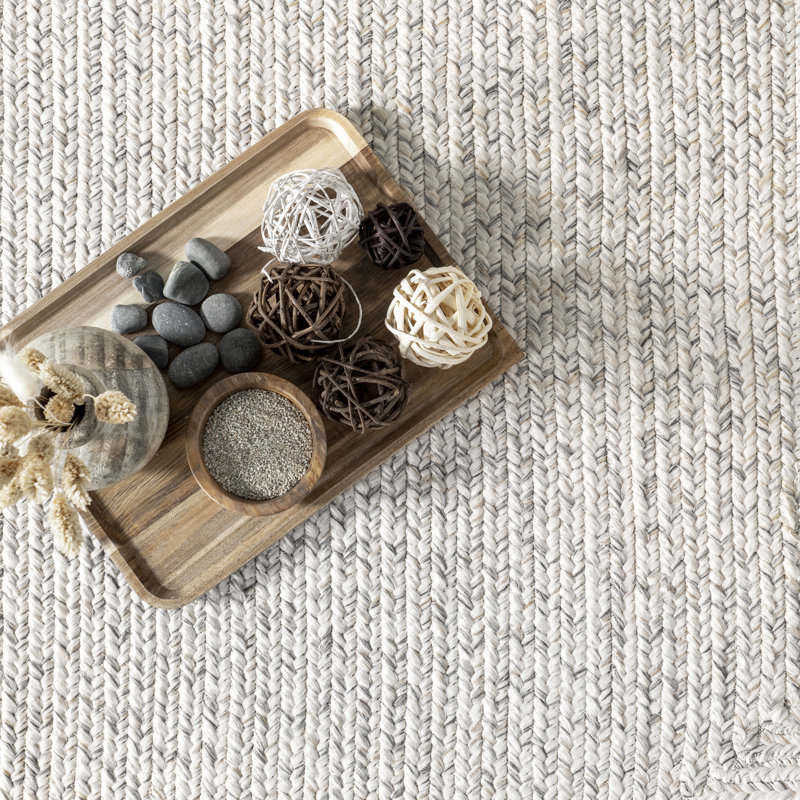 Luchezar Handmade Braided Ivory Indoor/Outdoor Rug, Round 5'