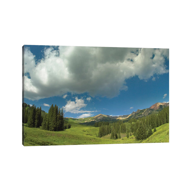 Stand Of Conifers In The Elk Mountains Near Crested Butte, Colorado 1 Piece Wrapped Canvas Wall Art, 30.48 cm H x 45.72 cm W