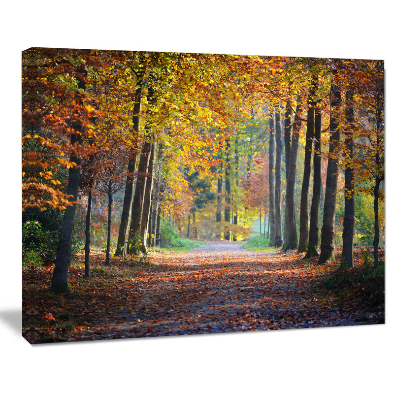 Wide Pathway in Yellow Fall Forest - Photograph Print, 30" H x 40" W x 1" D, Wrapped Canvas