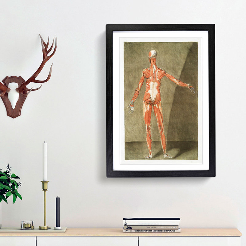 Anatomical Illustration of a Male No. 6 by Gautier-Dagoty - Picture Frame Painting Print, 48cm H x 36cm W x 2cm D