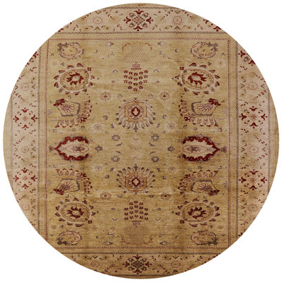 Oriental Indoor Rug