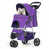 Purple/Solid