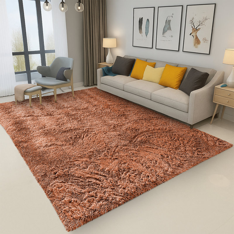 Standard Shaggy Area Rug Thick Soft Carpet, Non-Slip Modern for Home Decor, Rectangle 60 x 110 cm