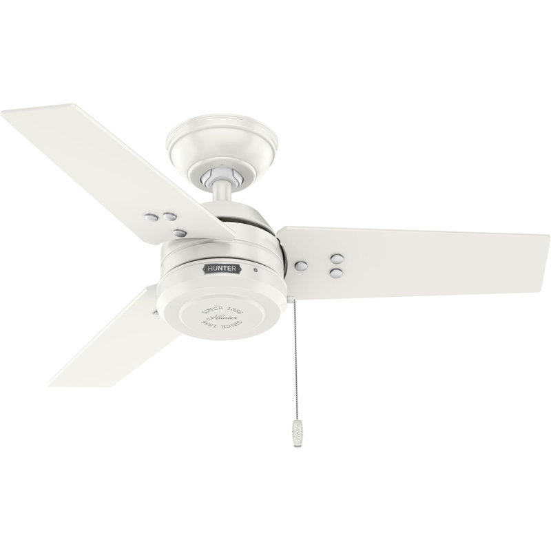 Ventilateur de plafond 36 po Cassius Hunter