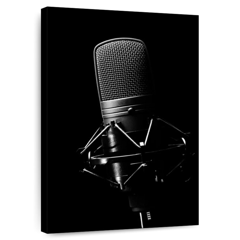 Microphone Abarca Studio, H 30 po x l 20 po