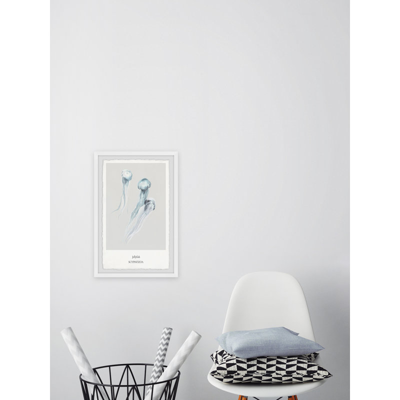 Scyphozoa - Single Picture Frame Print, 45cm H x 38cm W x 3.81cm D