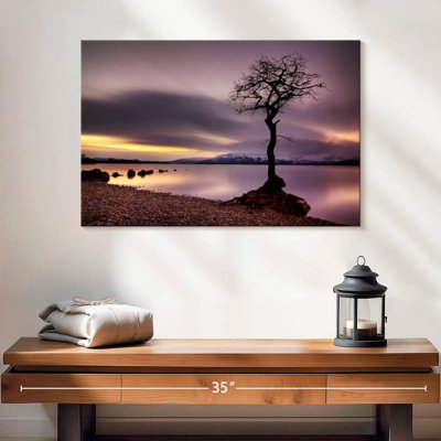 Alvord Loch Lomond Tree