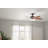 52'' Ceiling Fan with LED Lights-1487329157