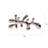 Pascale Decorative Object