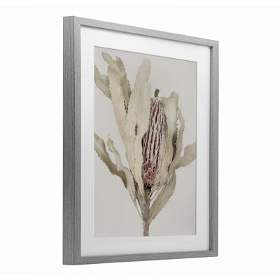 «Hidden Banksia Botanical Fronds», reproduction sous verre encadrée, design par Sissi et Seb