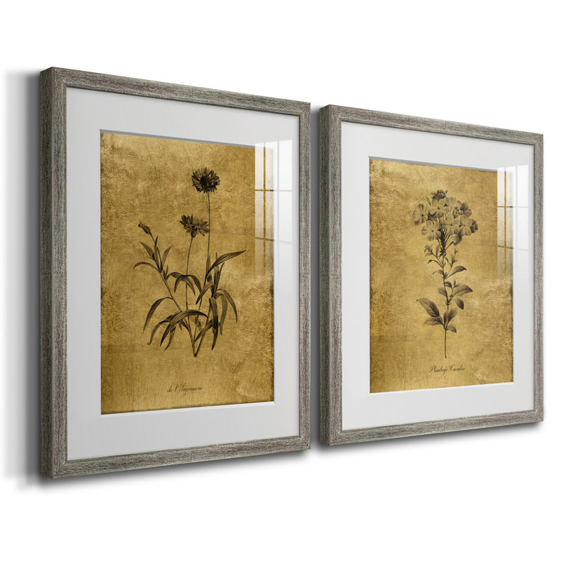 Croquis d'or botanique I - reproduction encadrée de qualité supérieure - prêt à être accroché