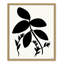 Silhouette Garden II by Susan Jill-59853279-59853273