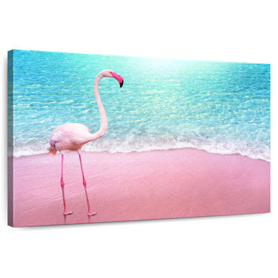 Flamant rose plage Brampt