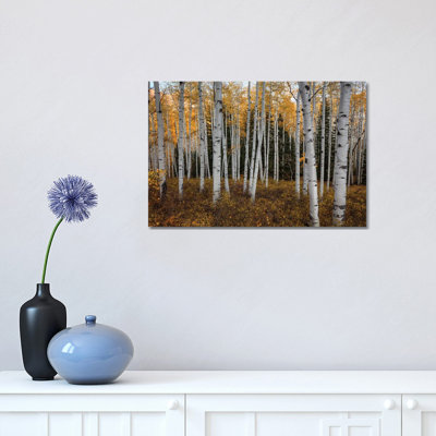 Aspen Forest In Autumn by Bill Sherrell - Wrapped Canvas Print