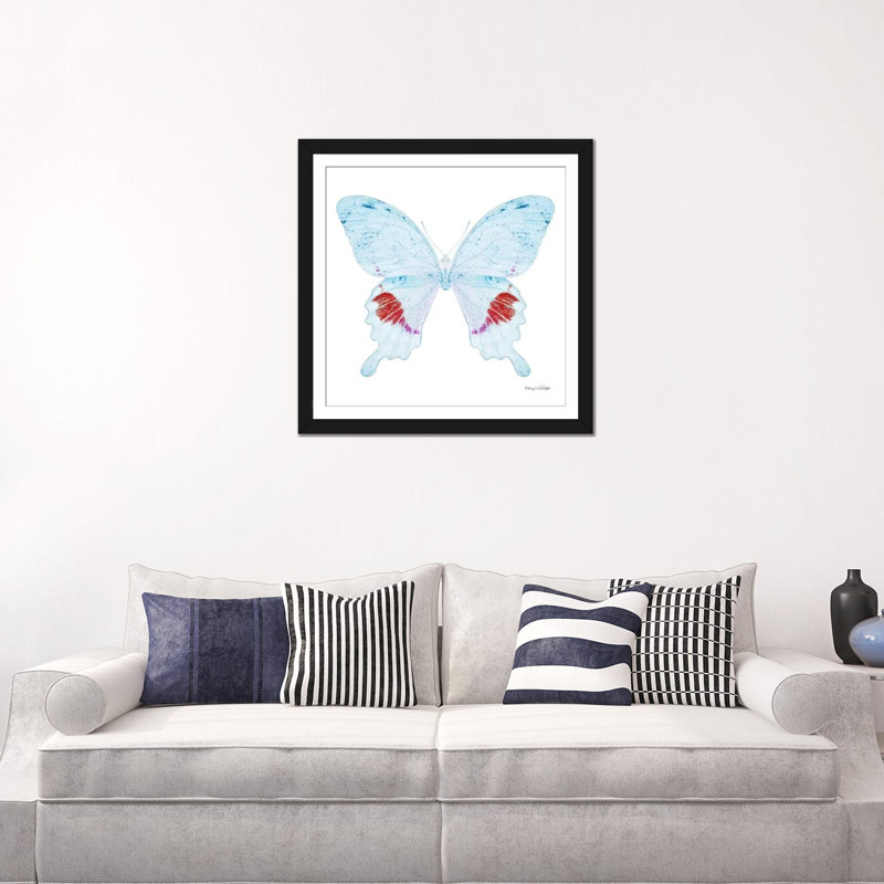 « miss papillon x-ray xxii », impression sur toile, Papier d'art encadré noir, H 24 po x l 24 po x P 1 po