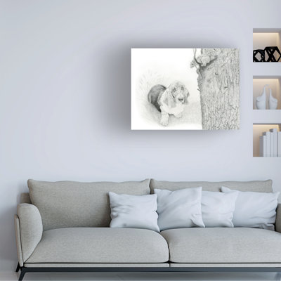 Bolog Darlene Pavlovich Discovering Nature Canvas Art