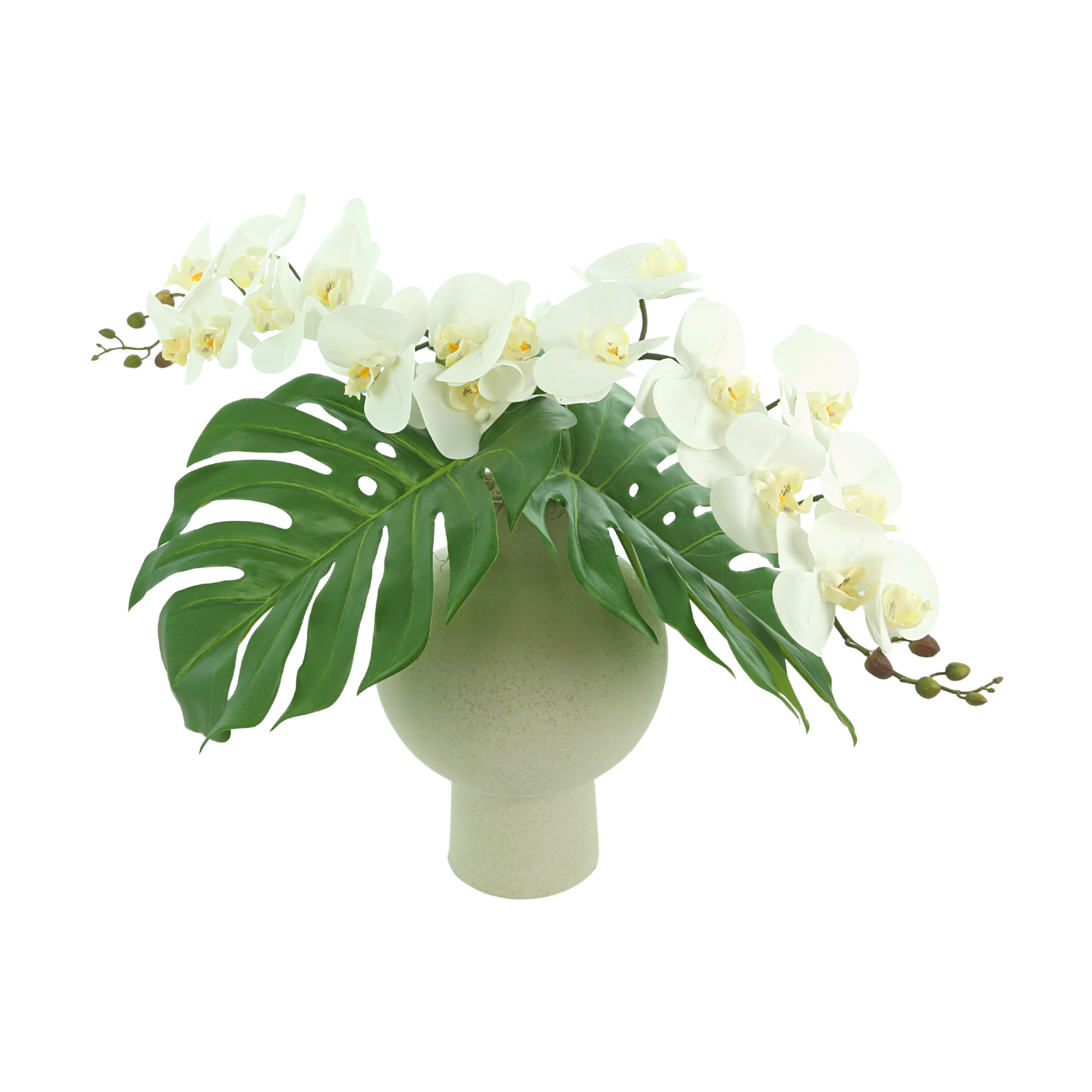 Primrue Orchid Arrangement with Tropical Leaves | Wayfair
