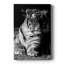 Tiger Repose - galerie Cavas sur mesure-502470998