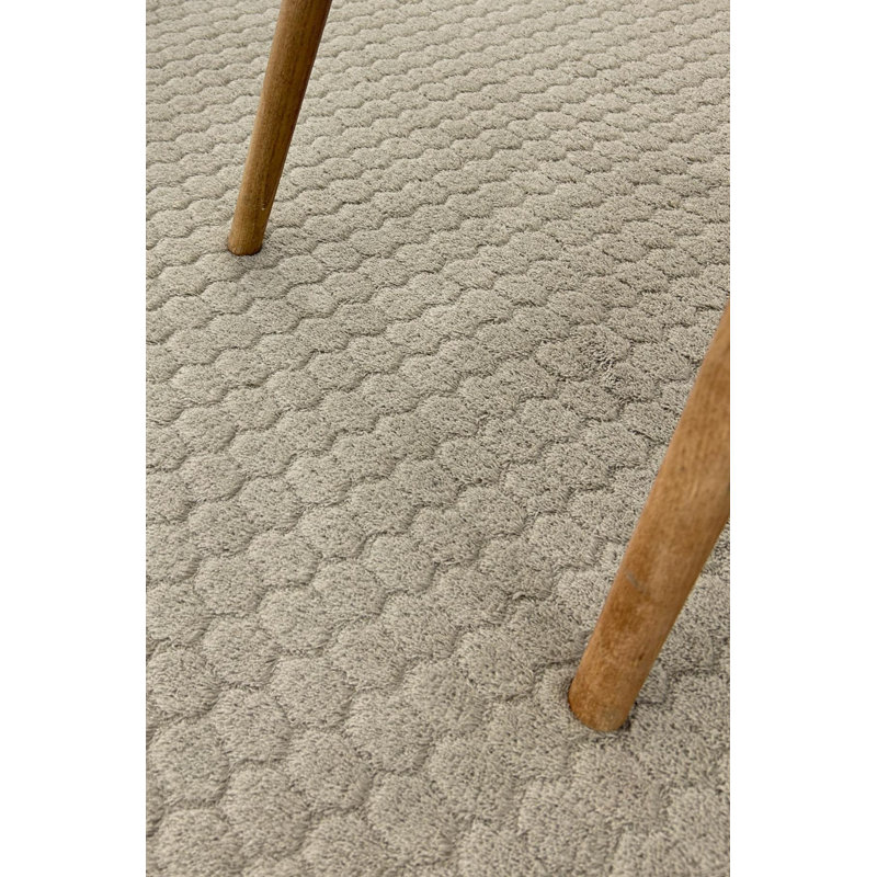 Tapis intérieur / extérieur en coton / polyester tissé à la machine Cheza, Rectangle 5 pi 3 po x 7 pi 6 po