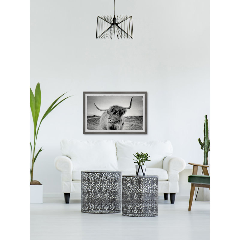 Away From Herd - Single Picture Frame Print, 20cm H x 30cm W x 3.81cm D