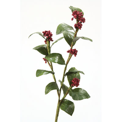 Pulvérisateur perle wisley