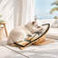  Grattoir en forme de planche de surf pour chat Palm Beach
