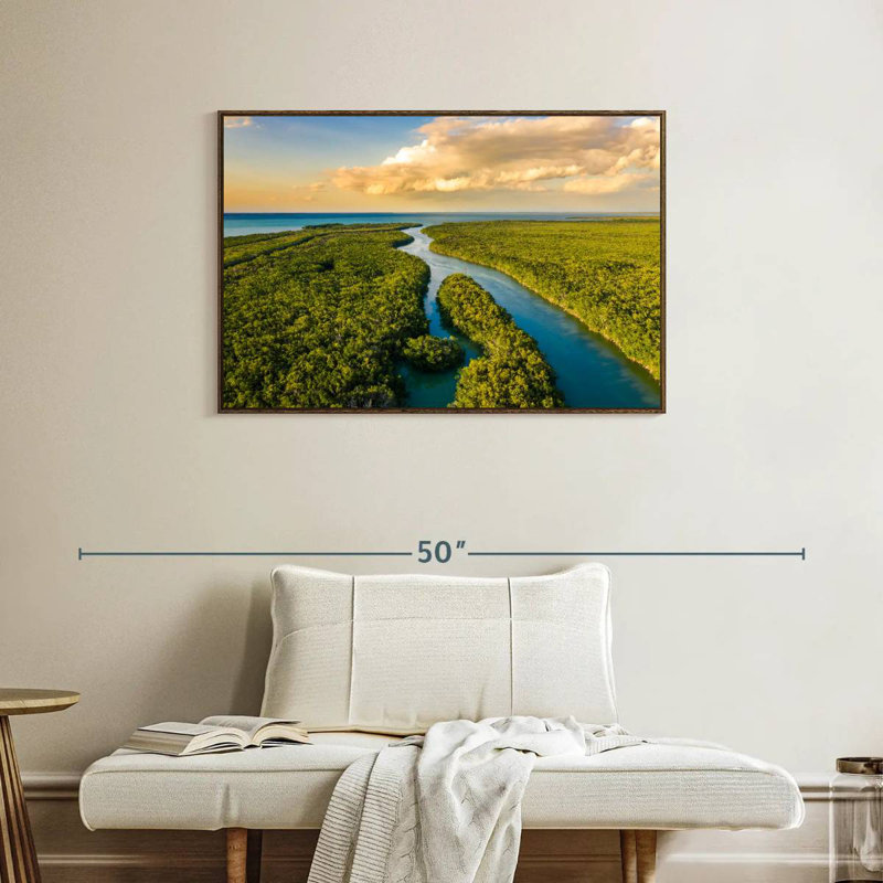 Parc national des Everglades, 37 po x 25 po, Cadre flottant en noyer