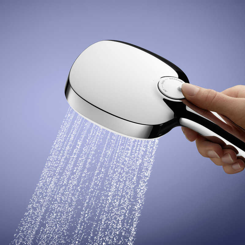 Tempesta 110 Square 2-Spray Hand Shower, Chrome