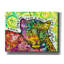 «Conservancy For Leopards» par Dean Russo, art mural sur toile-1040387397