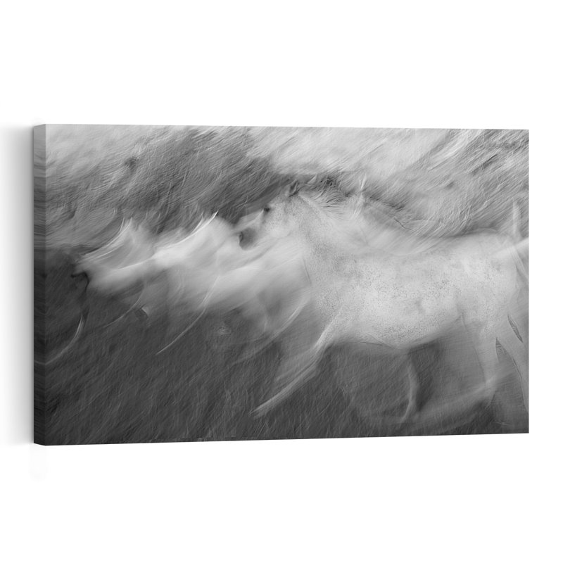 Cheval blanc dynamique et éthéré, impression d'art mural contemporain représentant un cheval et la nature, H 16 po x l 24 po