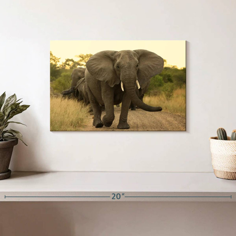 Brampt The Elephant Walk, 8" H x 12" W