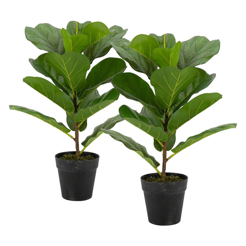 Grand figuier artificiel en pot 25,5 po - ensemble de 2 - vert / noir