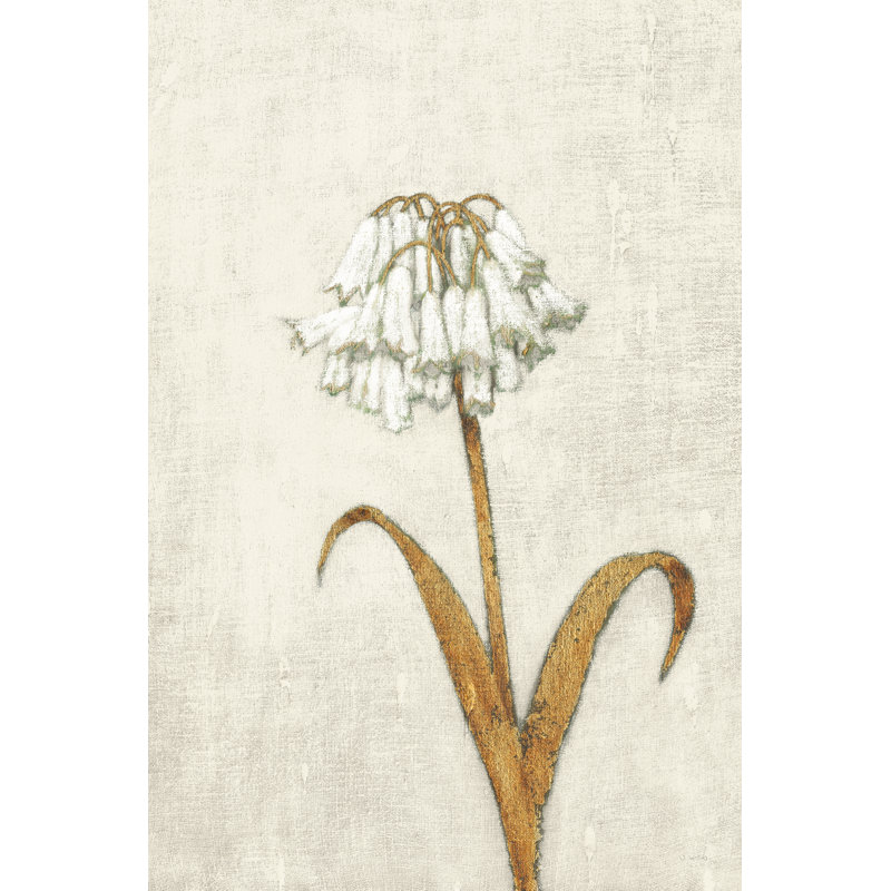 Shimmering Summer II Ivory by James Wiens - Wrapped Canvas Painting, 30cm H x 20cm W