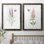 «Wildflower Botanical I», ensemble de 2 reproductions d'art-808463898-808463900-808463890