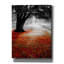 «Autumn Contrast» par PhotoINC Studio-1628265277