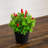8in. Artificial Red Pepper Plant - Set of 2