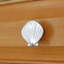 1 1/2" Seashell Knob-39948804-104673476-126755986