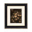 Ornamental Maple 