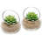 Set of 2 – 5-Inch Clear Glass Terrariums for Air Plants, Succulents or Tealight Candles – Mini Bowl Vases for Table Décor