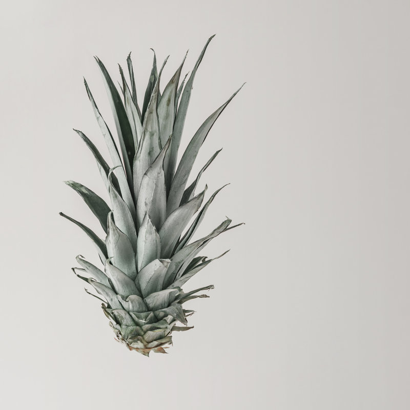 Pineapple Leaves - Wrapped Canvas Print, 122cm H x 122cm W x 3.8cm D