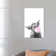 Highland Cow Blowing Bubble Gum in Black and White by Big Nose Work - Wrapped Canvas Graphic Art Print