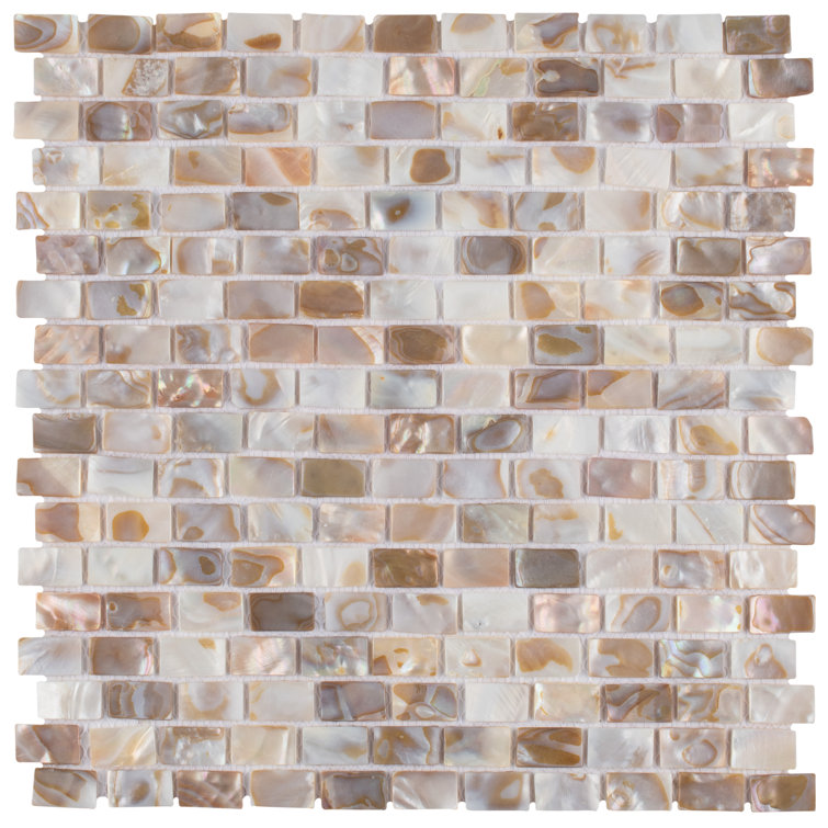 Conchella 0.56" x 0.95" Seashell Random Mosaic Tile