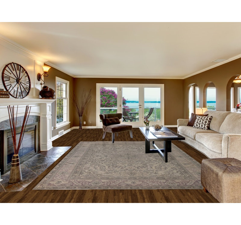 Distressed Traditional Area Rug 8x11